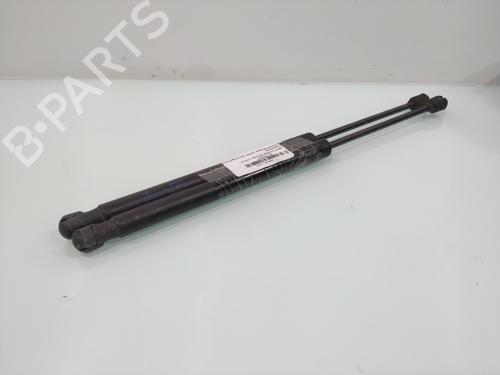Tailgate lift support VW PASSAT B7 Variant (365)  | BP29532140C138 