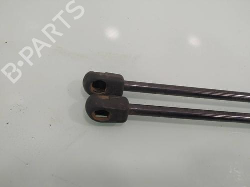 Tailgate lift support FORD FIESTA V (JH_, JD_) 1.4 16V | BP14030998C138 