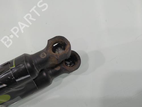 Tailgate lift support DACIA SANDERO II  | BP25119923C138 