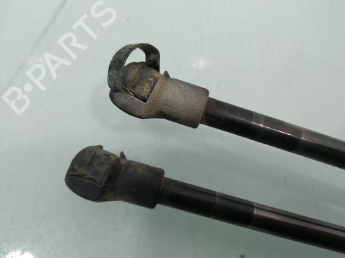 Tailgate lift support NISSAN QASHQAI / QASHQAI +2 I (J10, NJ10, JJ10E) 1.6 dCi | BP17221752C138 