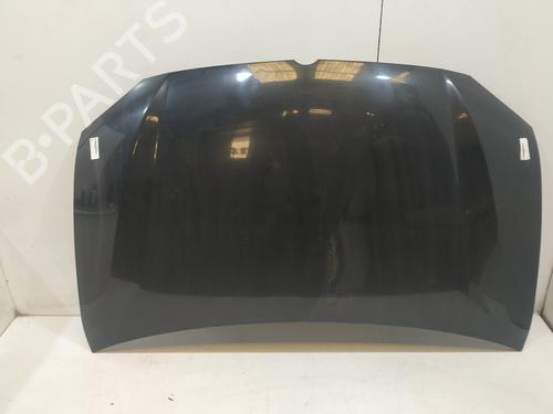 Used Hood SSANGYONG RODIUS I 2.7 Xdi (163 hp) 19705910