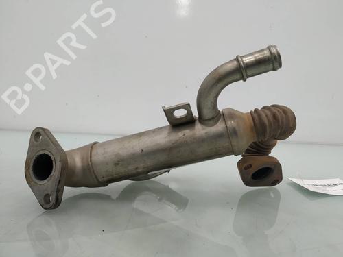 Egr SEAT IBIZA III (6L1)  | BP14030375M69 