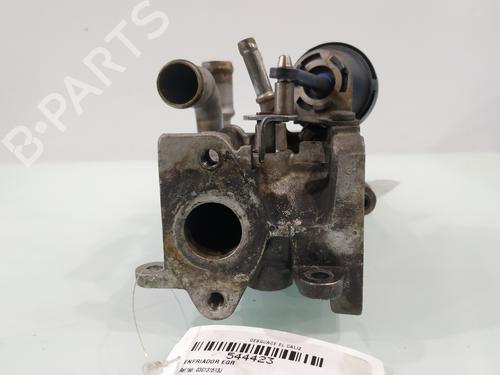 Egr AUDI A3 (8P1)  | BP29955710M69 