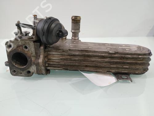 Egr AUDI A3 (8P1)  | BP29955710M69 