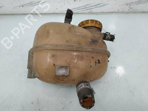 Used Expansion tank OPEL COMBO Box Body/MPV 1.3 CDTI 16V (69 hp) 8095018