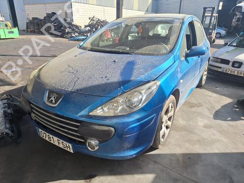 Used Parts PEUGEOT 307 Break (3E)    4638123