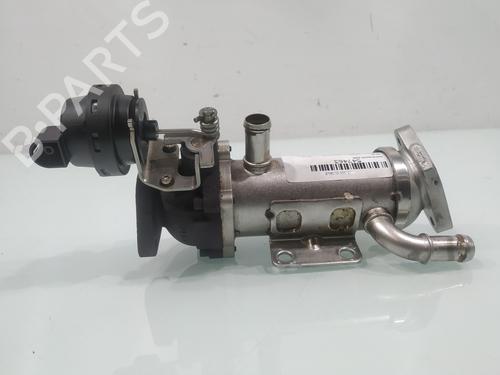 Egr RENAULT SCÉNIC II (JM0/1_) | BP30511209M69