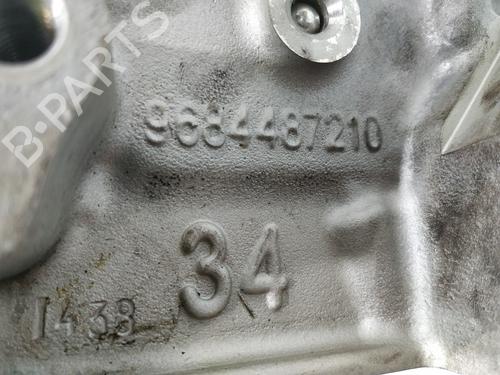 Sylinderhode FORD C-MAX II (DXA/CB7, DXA/CEU) | BP30742891M5