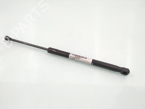 Used Hood lift support VW CADDY III MPV (2KB, 2KJ, 2CB, 2CJ) 1.9 TDI (105 hp) 25717040