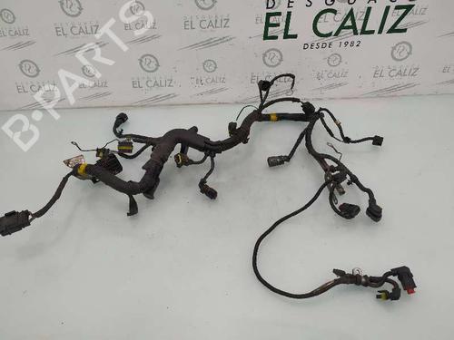 Other FIAT FIORINO Box Body/MPV (225_)  | BP12582415O1