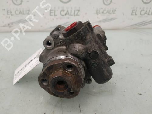 Styring servopumpe SEAT IBIZA II (6K1) 1.9 TDI (110 hp) 8099129