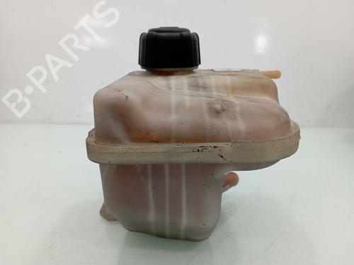 Expansion tank NISSAN QASHQAI / QASHQAI +2 I (J10, NJ10, JJ10E) 1.5 dCi | BP12469997C120 