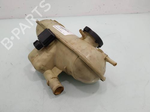 Expansion tank CITROËN BERLINGO / BERLINGO FIRST MPV (MF_, GJK_, GFK_) 1.9 D (MFDJY) | BP11696994C120