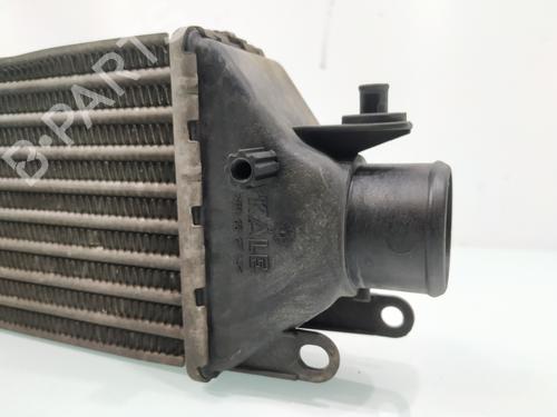 Intercooler FIAT LINEA (323_, 110_) 1.4 T-Jet (323AXC1A) | BP28196029M30 
