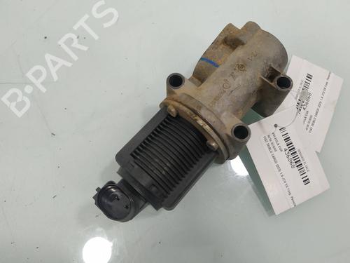Egr FIAT DOBLO Box Body/MPV (223_) 1.9 JTD | BP11717402M69 