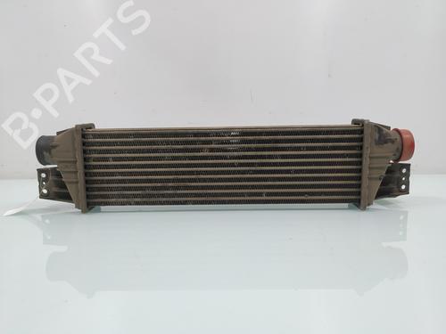 Intercooler SSANGYONG REXTON / REXTON II (GAB_) [2002-2025]  8085456