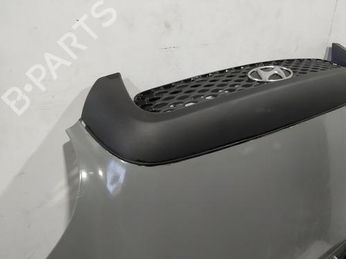 Hood HYUNDAI SANTA FÉ I (SM) 2.0 CRDi | BP15838903C1 