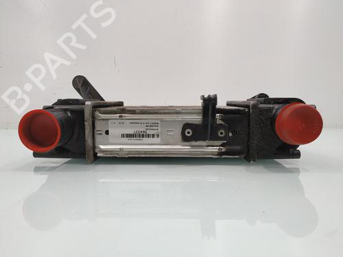Intercooler RENAULT CLIO III (BR0/1, CR0/1) 1.5 dCi (BR17, CR17) | BP32083370M30  - Image 6
