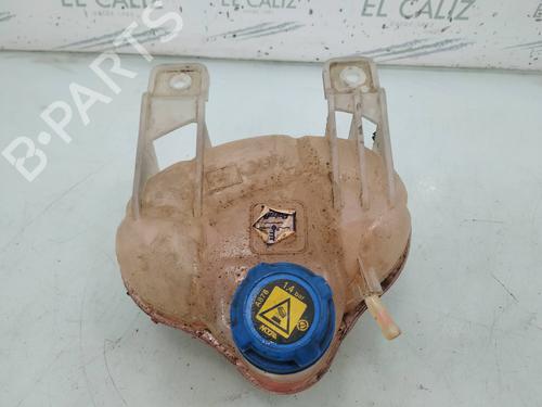 Used Expansion tank FIAT PUNTO EVO (199_) 1.3 D Multijet (199AXC1A, 199BXC1A, 199AXT1A, 199BXT1A) (75 hp) 8096827