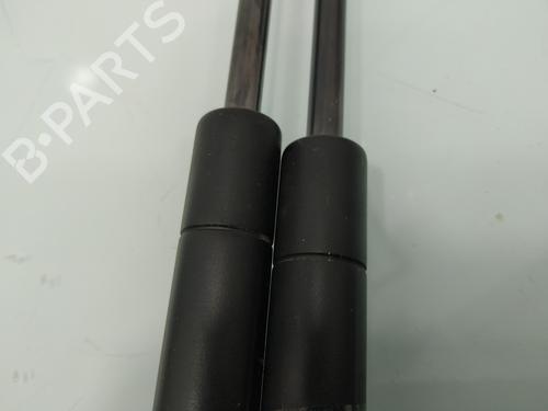 Tailgate lift support SEAT LEON (1M1)  | BP22711983C138 