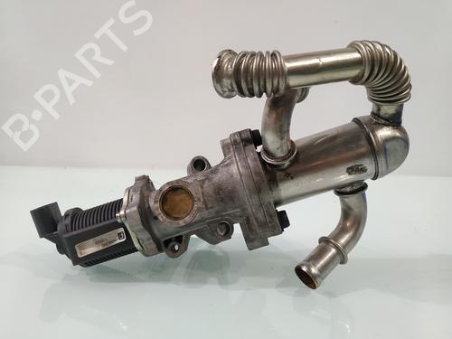 Egr FIAT FIORINO Box Body/MPV (225_) 1.3 D Multijet (225BXD1A, 225BXB1A, 225BXB11) | BP29955682M69