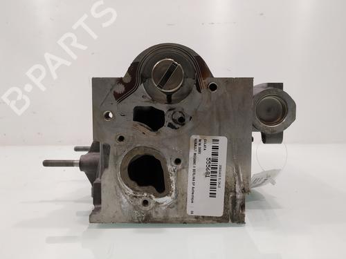 Cylinder head RENAULT MEGANE II (BM0/1_, CM0/1_) | BP31127389M5