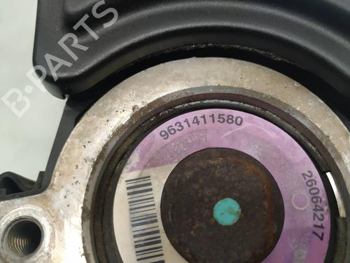 Steering pump PEUGEOT 206 Hatchback (2A/C) 1.4 LPG | BP8307836M99 