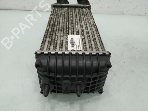 Intercooler CITROËN XSARA PICASSO (N68) 1.6 HDi | BP20138480M30 
