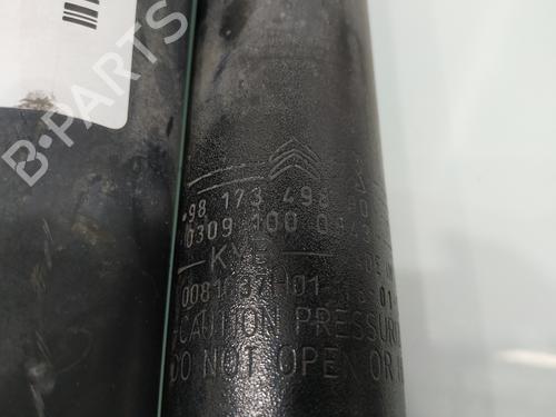 Right rear shock absorber PEUGEOT 308 II (LB_, LP_, LW_, LH_, L3_)  | BP27980346M19 