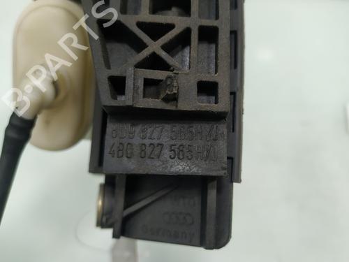 Tailgate handle AUDI A3 (8L1) 1.8 T | BP20694540C132 