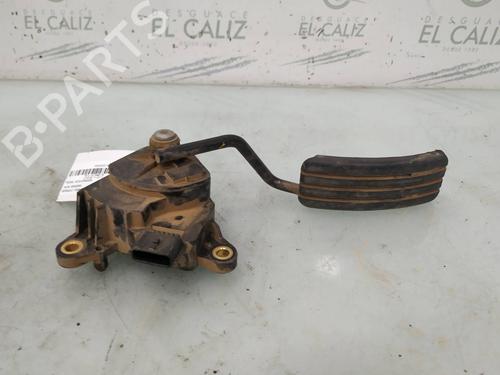 Pedal RENAULT KANGOO / GRAND KANGOO II (KW0/1_) 1.5 dCi 70 (KW0V, KW0A) (68 hp) 8098503