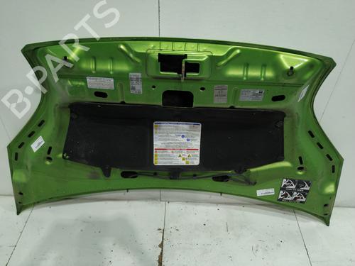 Hood FIAT FIORINO Box Body/MPV (225_) 1.3 D Multijet (225BXD1A, 225BXB1A, 225BXB11) | BP29965925C1