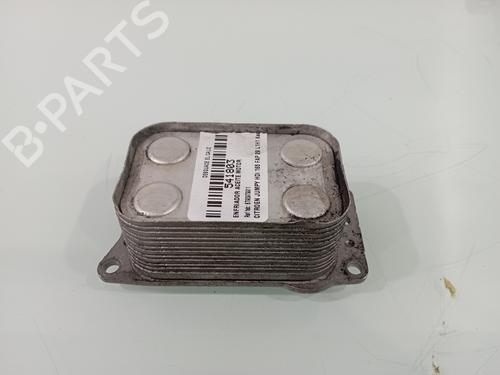 Radiatore olio CITROËN JUMPY II Platform/Chassis 2.0 HDi 125 (128 hp) 29830934
