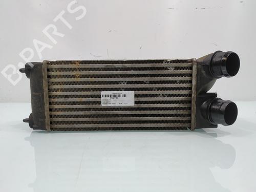 Used Intercooler PEUGEOT 3008 I MPV (0U_) 1.6 HDi (109 hp) 31670483