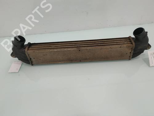 Intercooler FIAT DOBLO Box Body/MPV (223_) 1.3 D Multijet | BP10393890M30 
