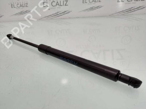 Hood lift support BMW 1 (E87) 118 d | BP14029132C139 