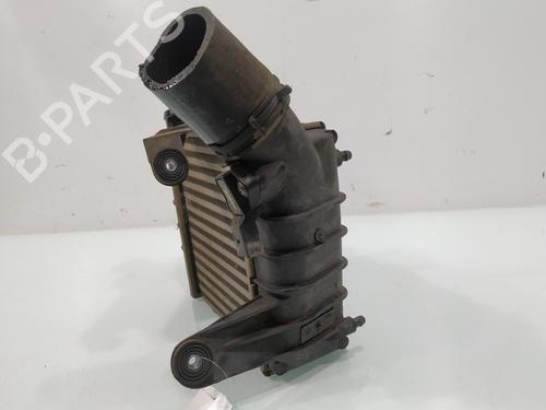 Intercooler VW POLO IV (9N_, 9A_) 1.4 TDI | BP31248260M30 