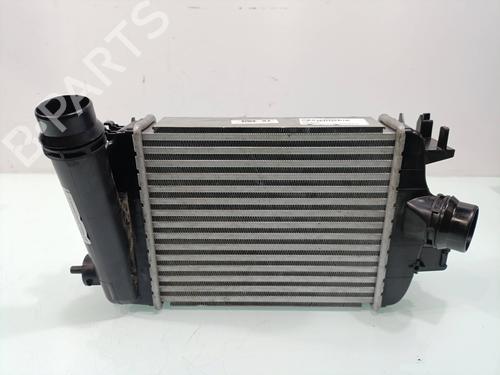 Intercooler DACIA SANDERO III [2021-2026]  31309520