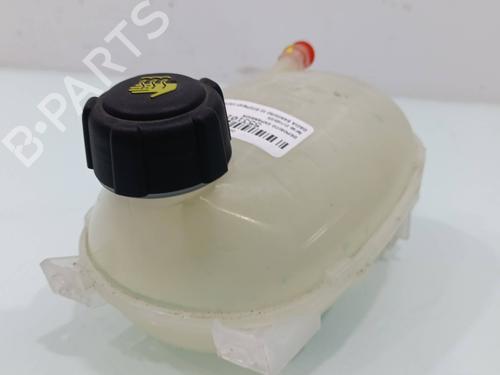 Ekspansjonstank DACIA SANDERO III | BP31309510C120