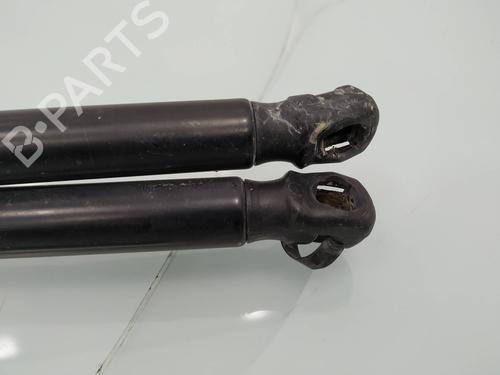 Tailgate lift support OPEL CORSA D (S07) 1.3 CDTI (L08, L68) | BP14030676C138 