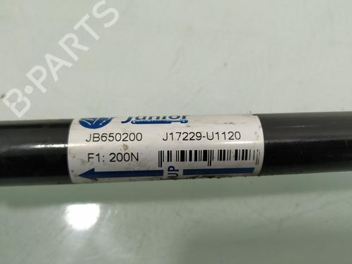 Hood lift support VW NEW BEETLE (9C1, 1C1) 1.9 TDI | BP16295684C139 