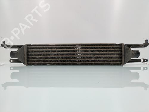 Used Intercooler FIAT GRANDE PUNTO (199_) 1.3 D Multijet (199.AXD11, 199.AXD1A, 199.AXD1B,... (90 hp) 23239822