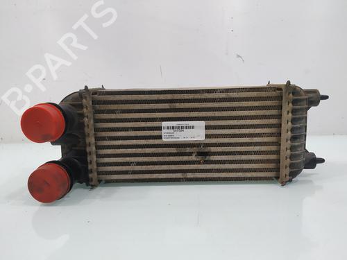 Intercooler PEUGEOT 508 I (8D_) [2010-2018]  30601683