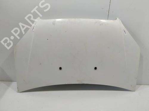 Cofano anteriore FIAT DOBLO Box Body/MPV (223_) 1.3 D Multijet (75 hp)null