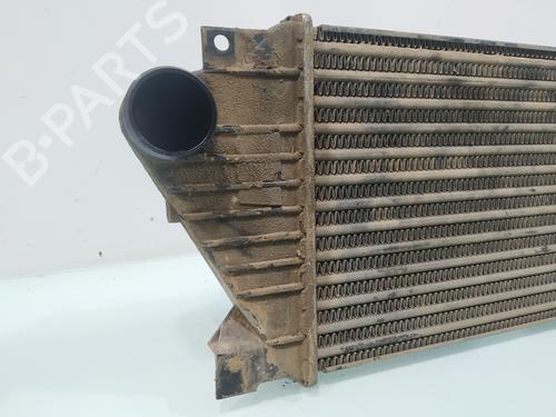 Intercooler MERCEDES-BENZ M-CLASS (W163)  | BP28191648M30 