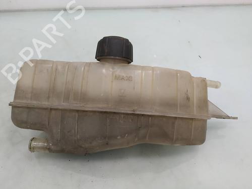 Used Expansion tank RENAULT CLIO III (BR0/1, CR0/1) 1.5 dCi (C/BR0G, C/BR1G) (68 hp) 9077869