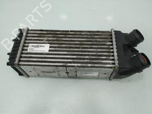 Used Intercooler CITROËN XSARA PICASSO (N68) 1.6 HDi (90 hp) 20138480