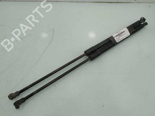 Tailgate lift support NISSAN QASHQAI / QASHQAI +2 I (J10, NJ10, JJ10E) 1.6 dCi | BP17221752C138 