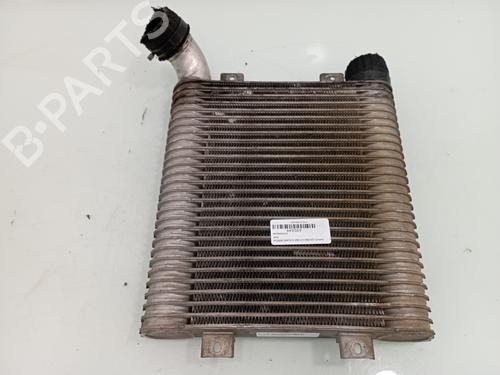 Used Intercooler HYUNDAI SANTA FÉ I (SM) 2.0 CRDi (113 hp) 13517735