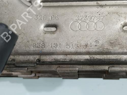 Egr AUDI A3 (8P1)  | BP29955710M69 